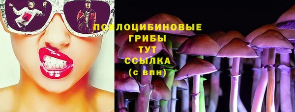 дживик Алзамай